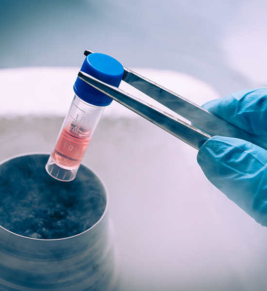 Primer Hücre Sistemleri