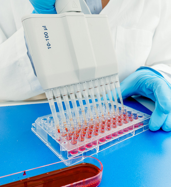 Sitotoksisite, Hücre Proliferasyonu ve Hücre Ölümü Testleri