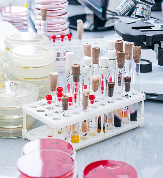 Real-Time PCR Tabanlı Patojen Tespiti