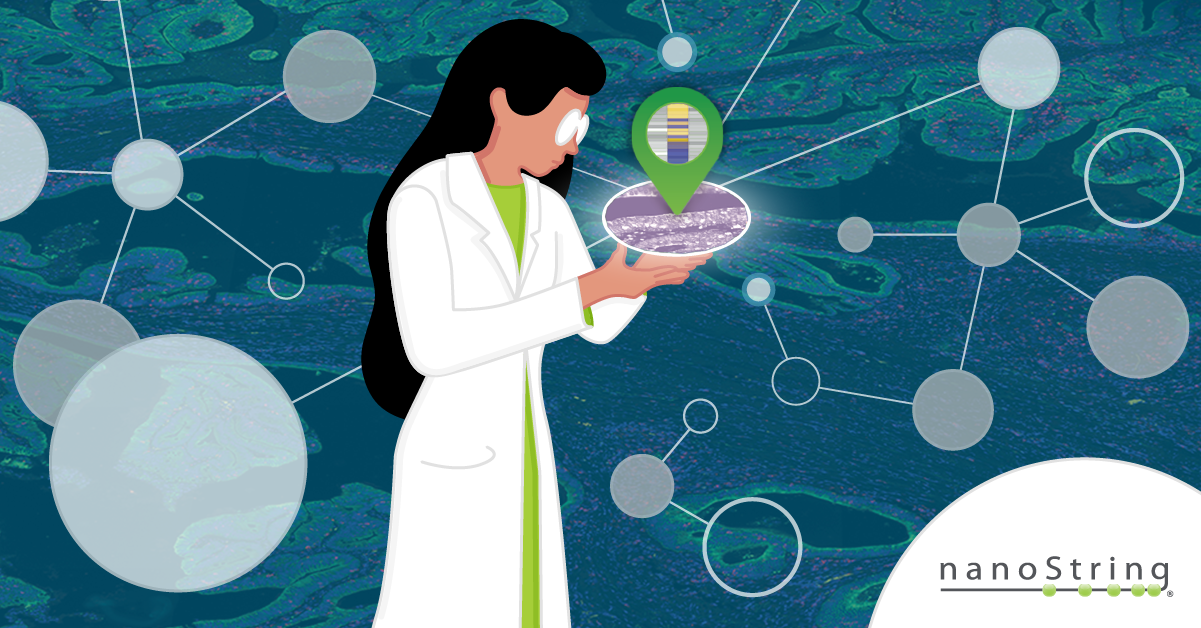 Servis Laboratuvarları