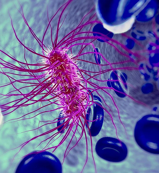 Endotoksin Testleri